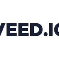 veed.io veed.io